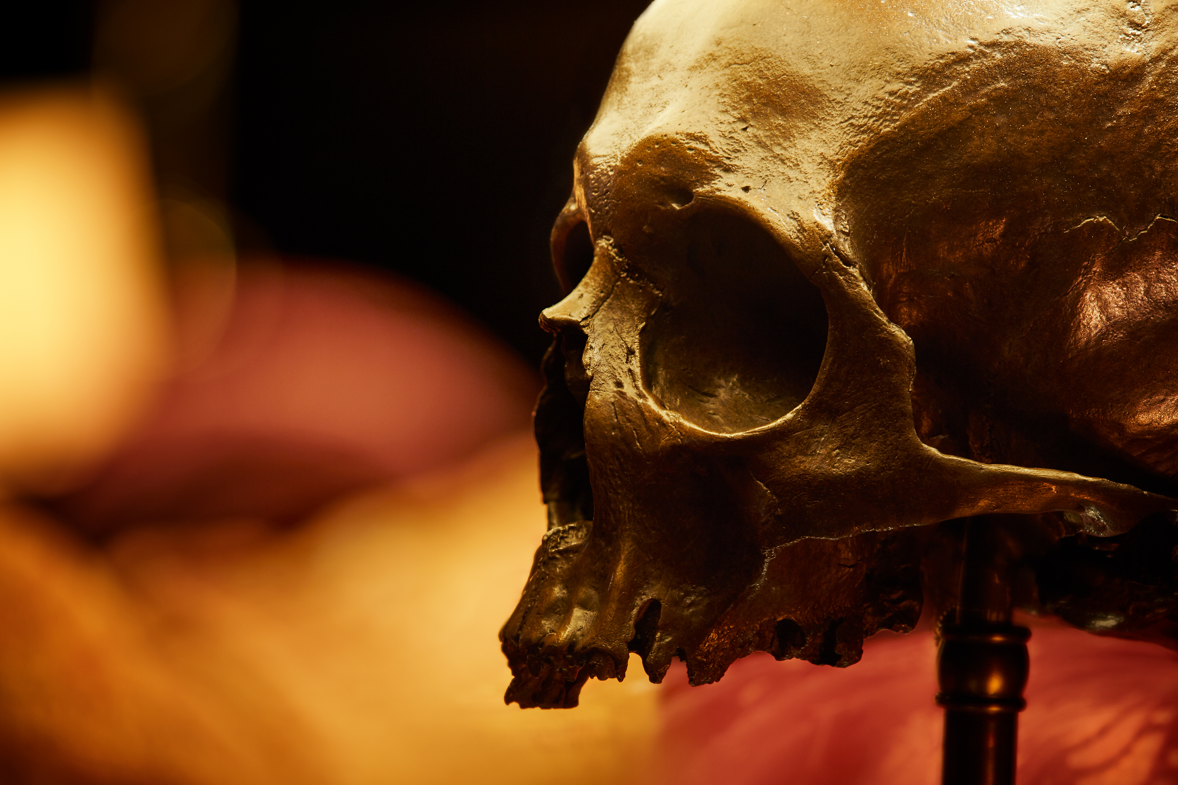 Sa Hans Zimmer Studio Product Skull Close