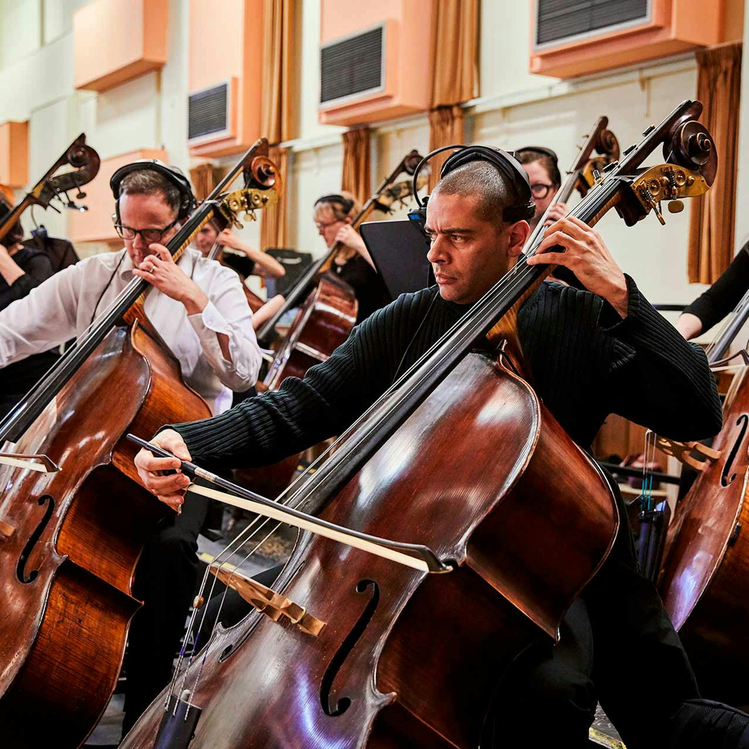 BBCSO double bass section