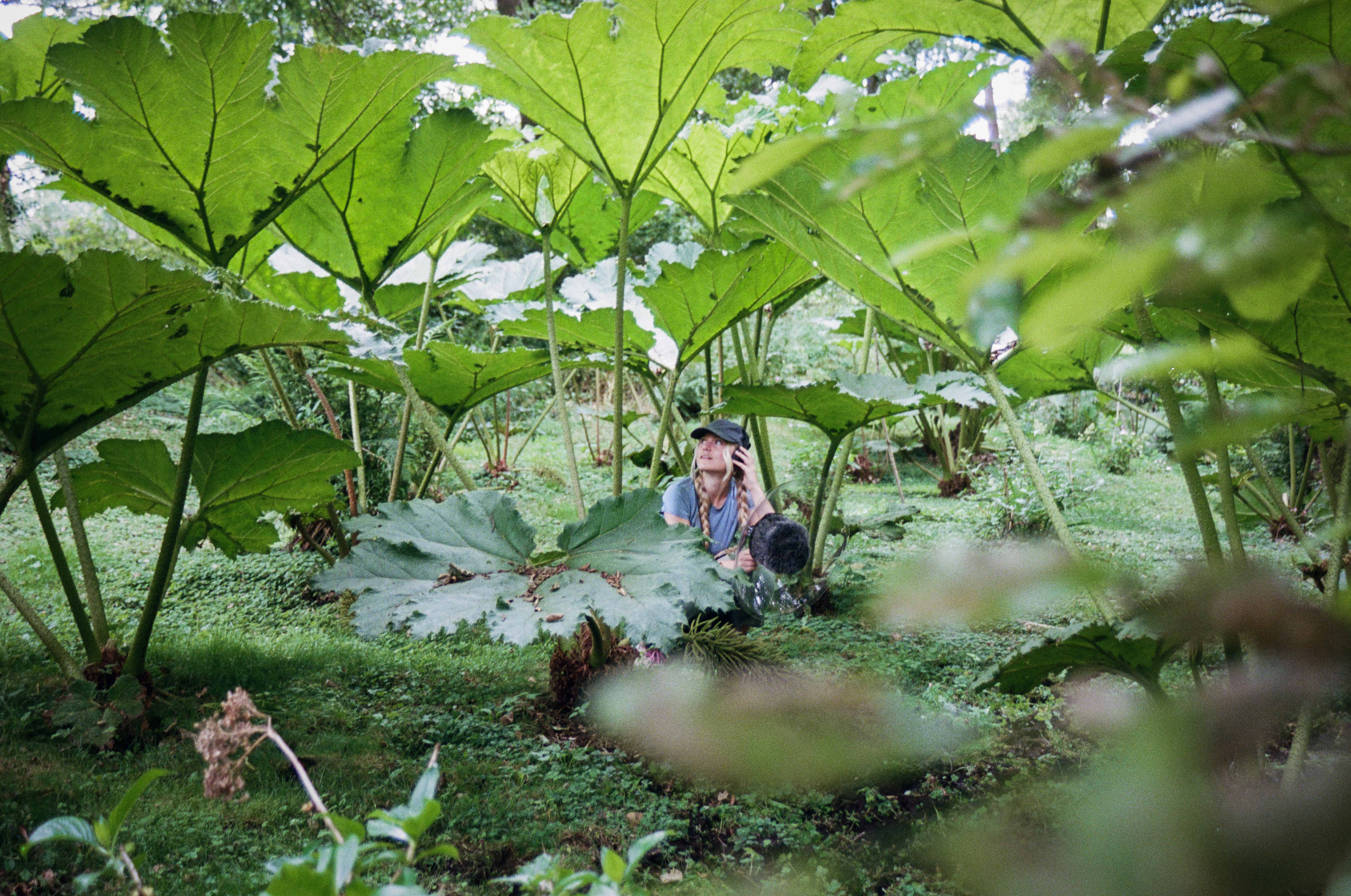 Option 3 Credit Sian Ogorman Jpg