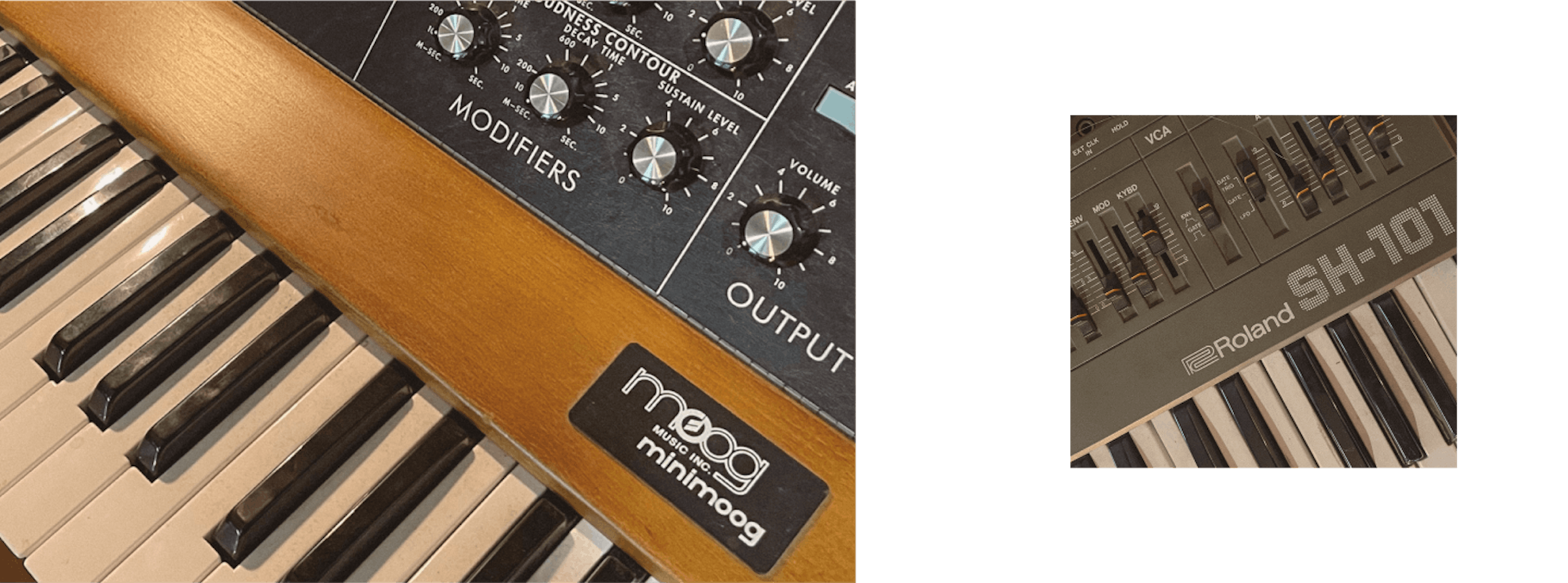 Colossus Synths - Minimoog and Roland SH-101