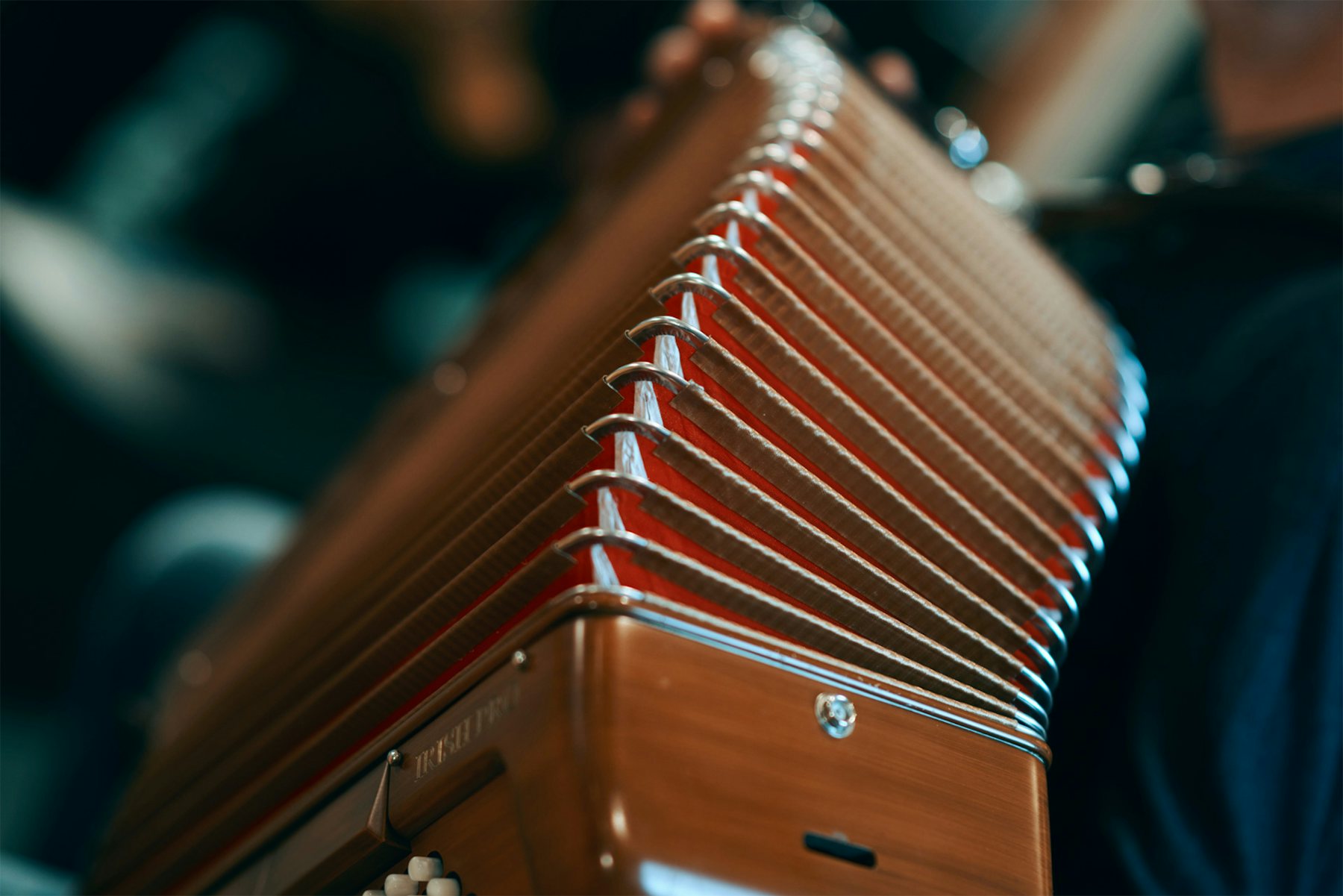 Close up of an accordion for The Blaggards