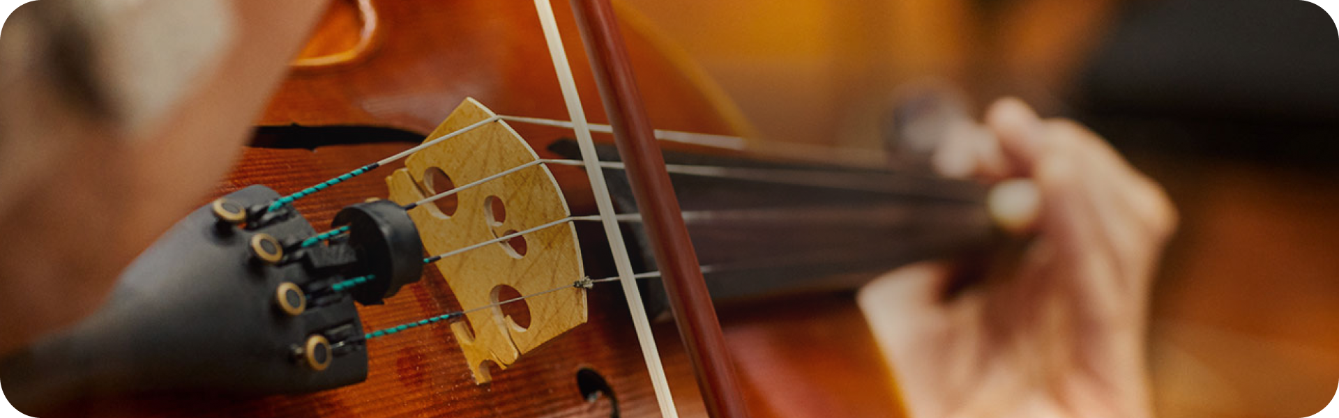 Close up of violin