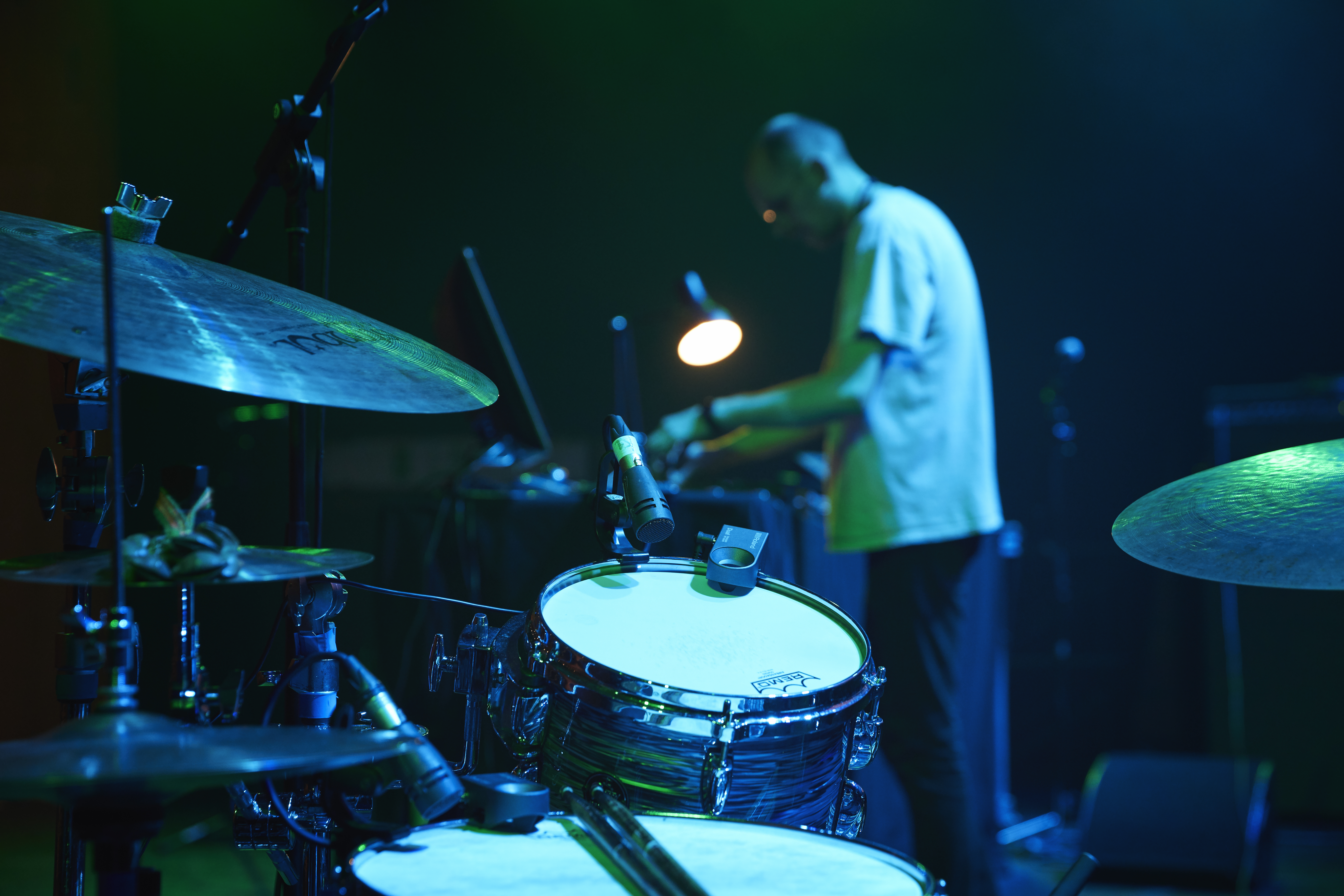 Cm Plimmer Hayes 0055