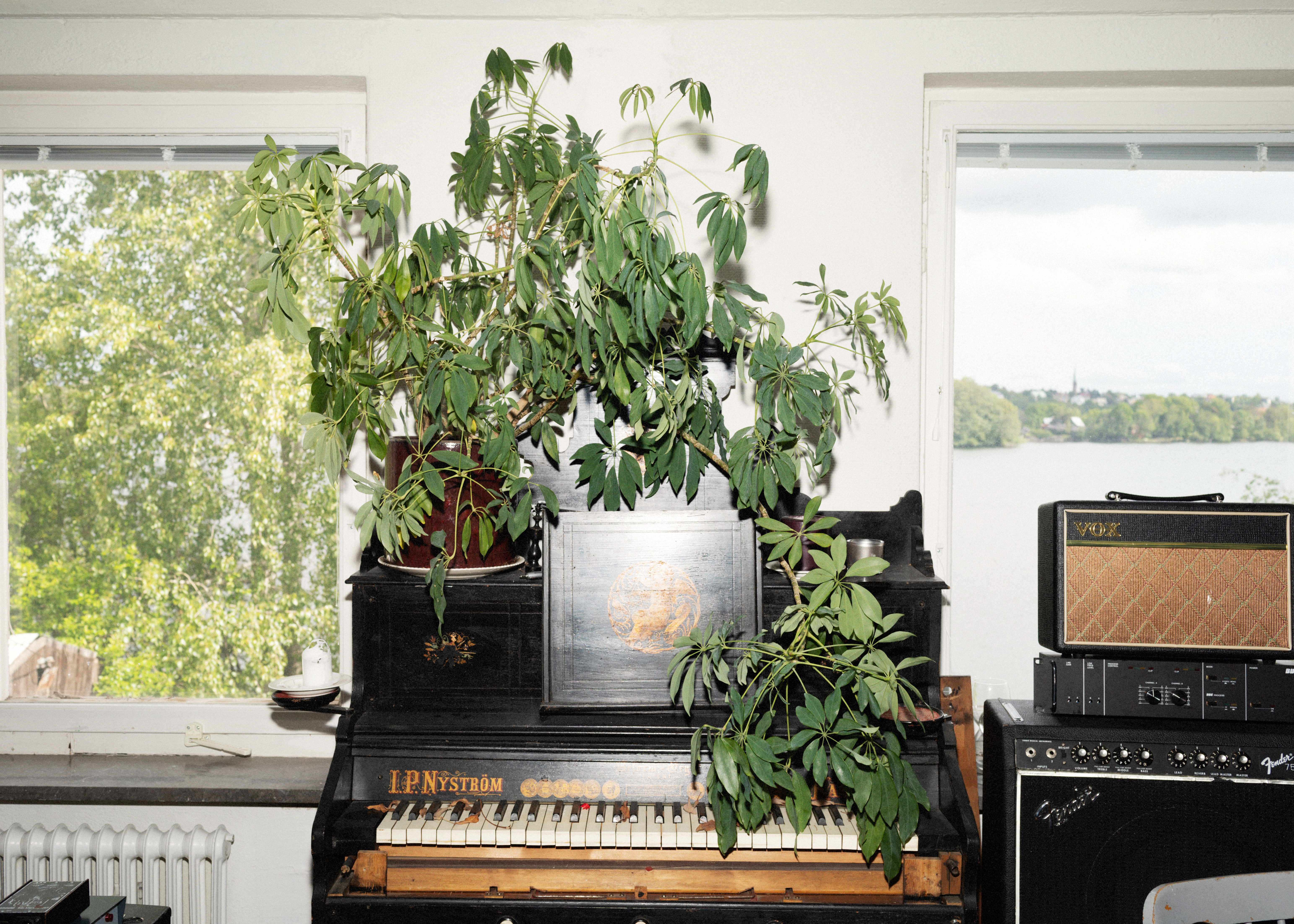 Shidashahabi 6w7a9663