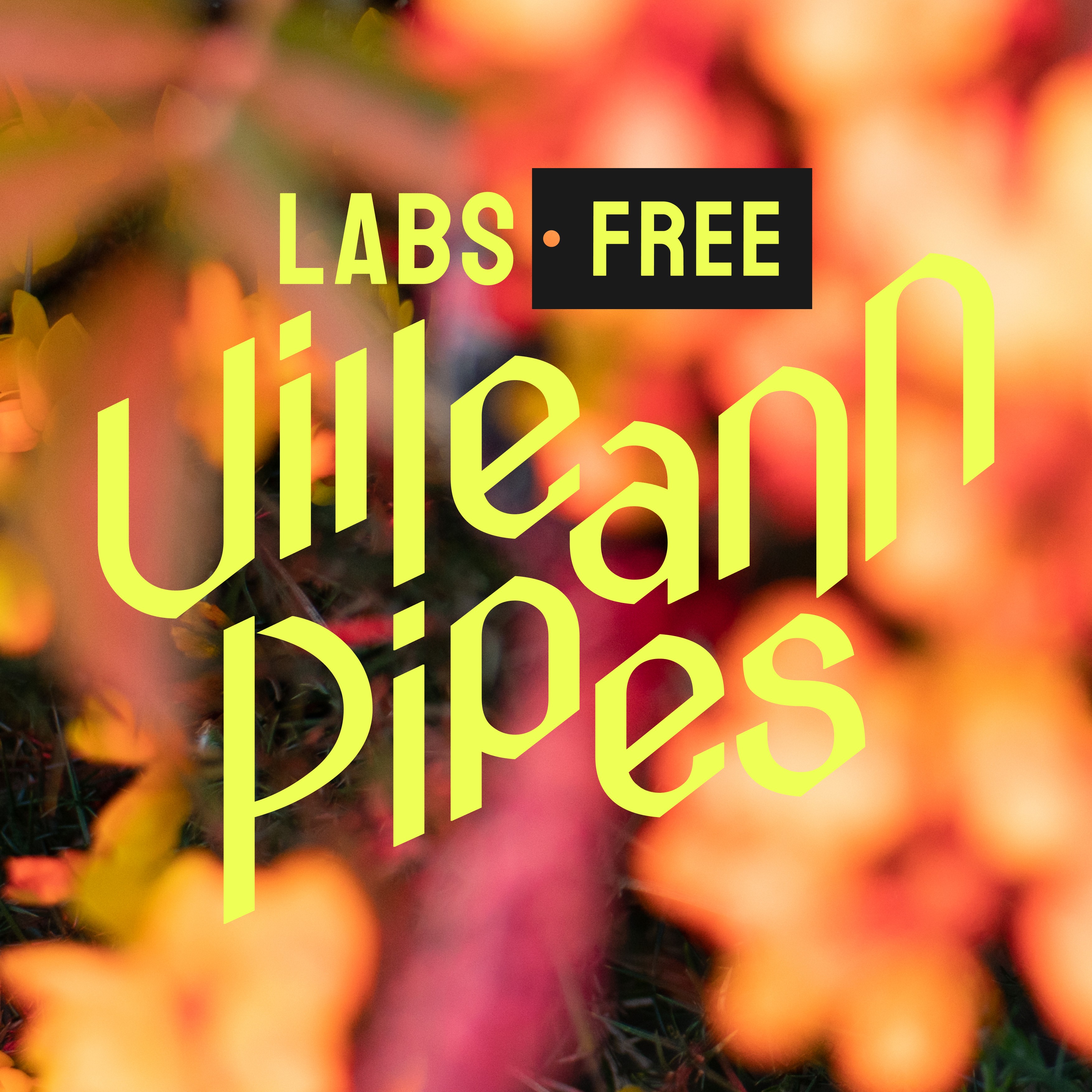 Uilleann store pipes kontakt