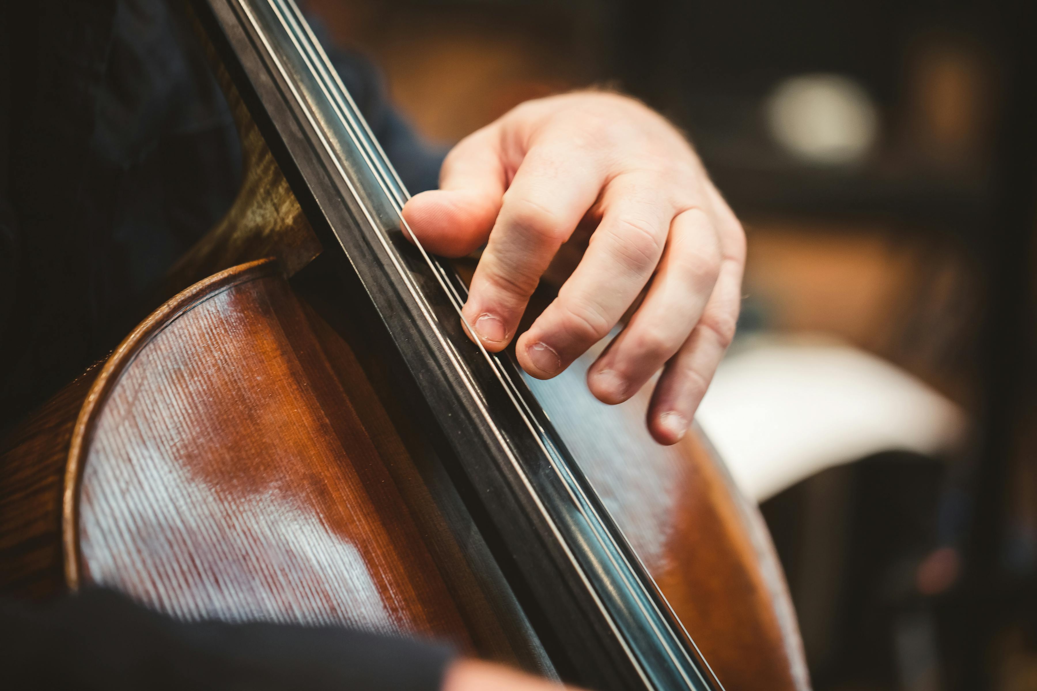 Close up of cello neck