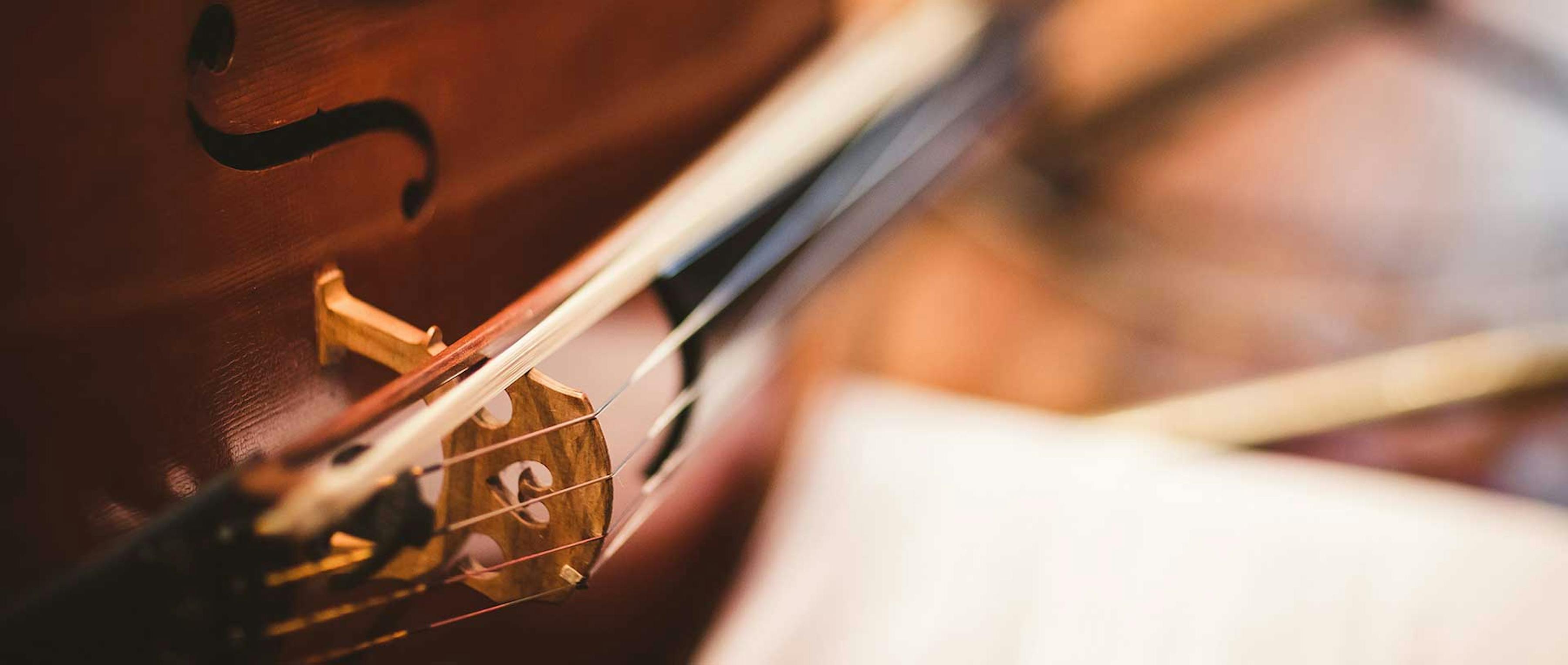 Close up of violin bridge