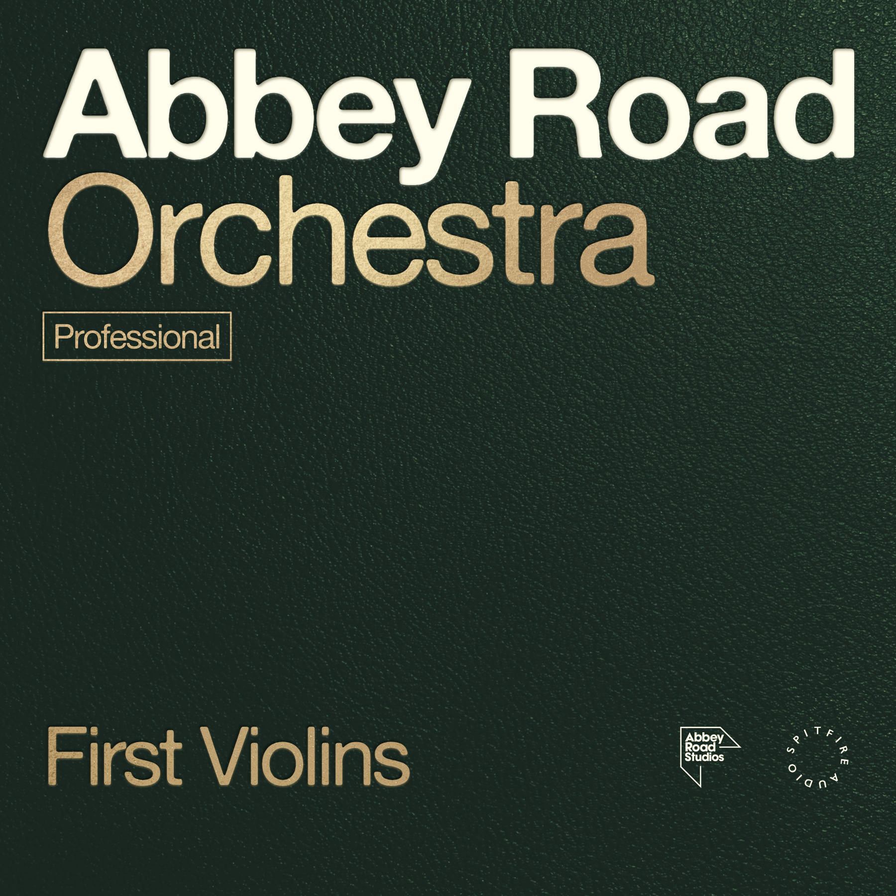 Orchestra di Abbey Road: percussioni basseOrchestra di Abbey Road: percussioni basse  