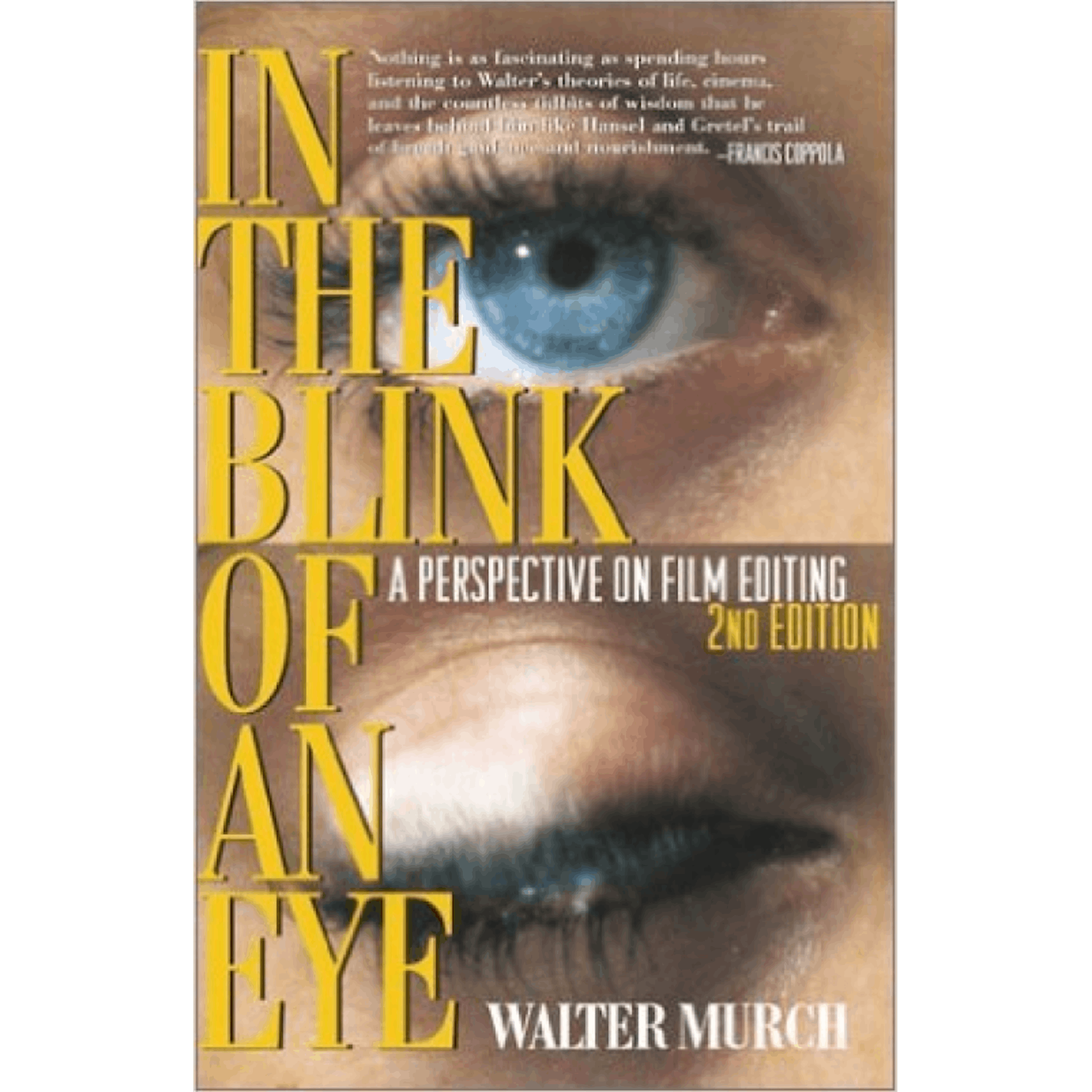 In The Blink Of An Eye by Walter Murch