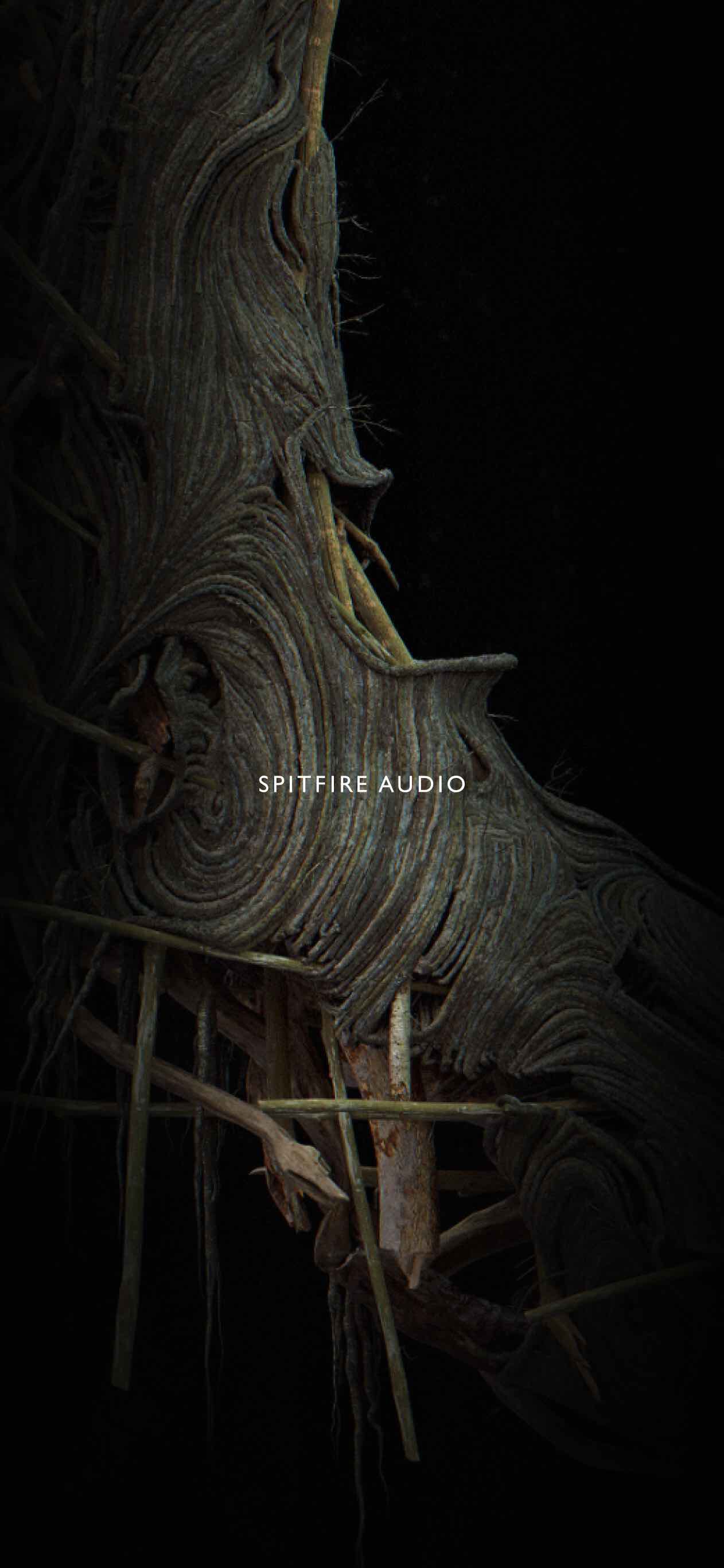 Albion Solstice phone wallpaper