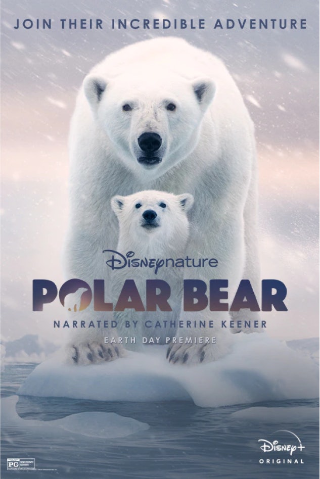 Disney's Polar Bear
