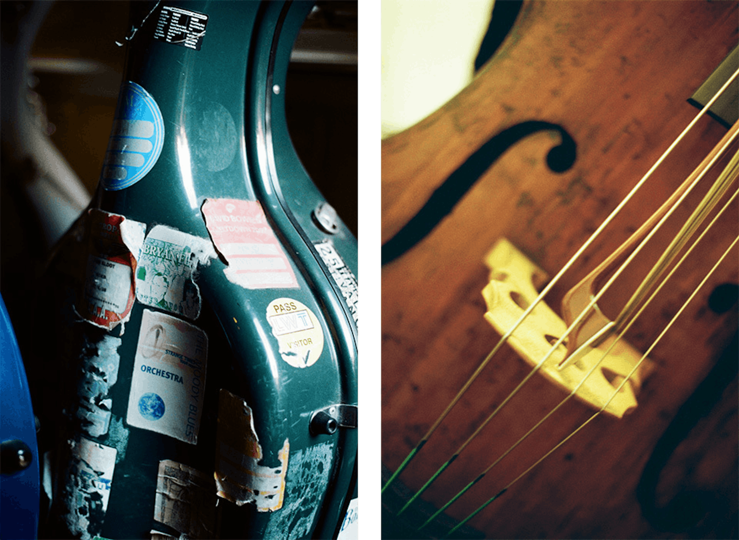 Cello case and double bass