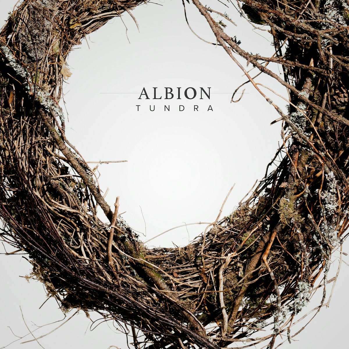 Albion Tundra product artwork