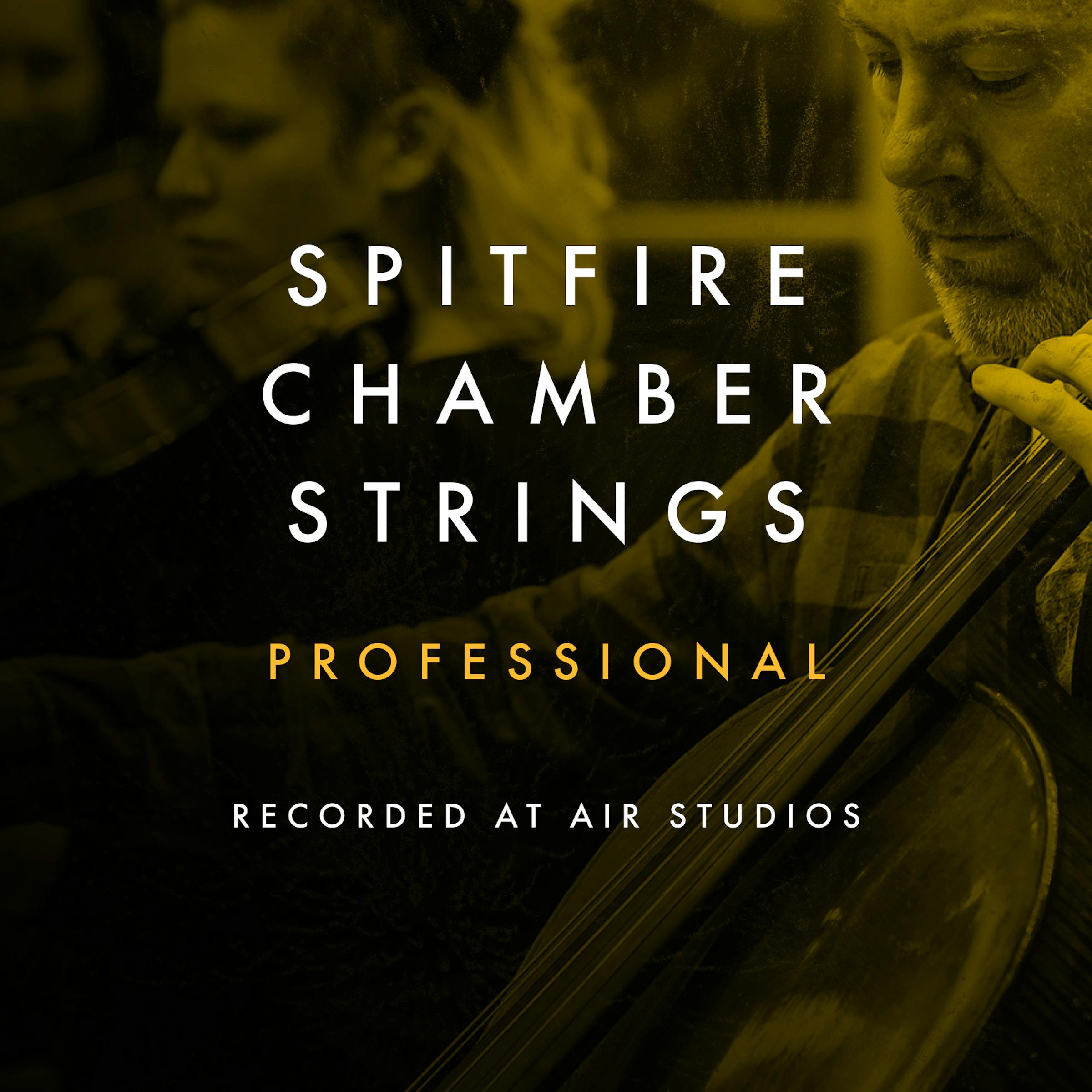 Chamber Strings Professional artwork