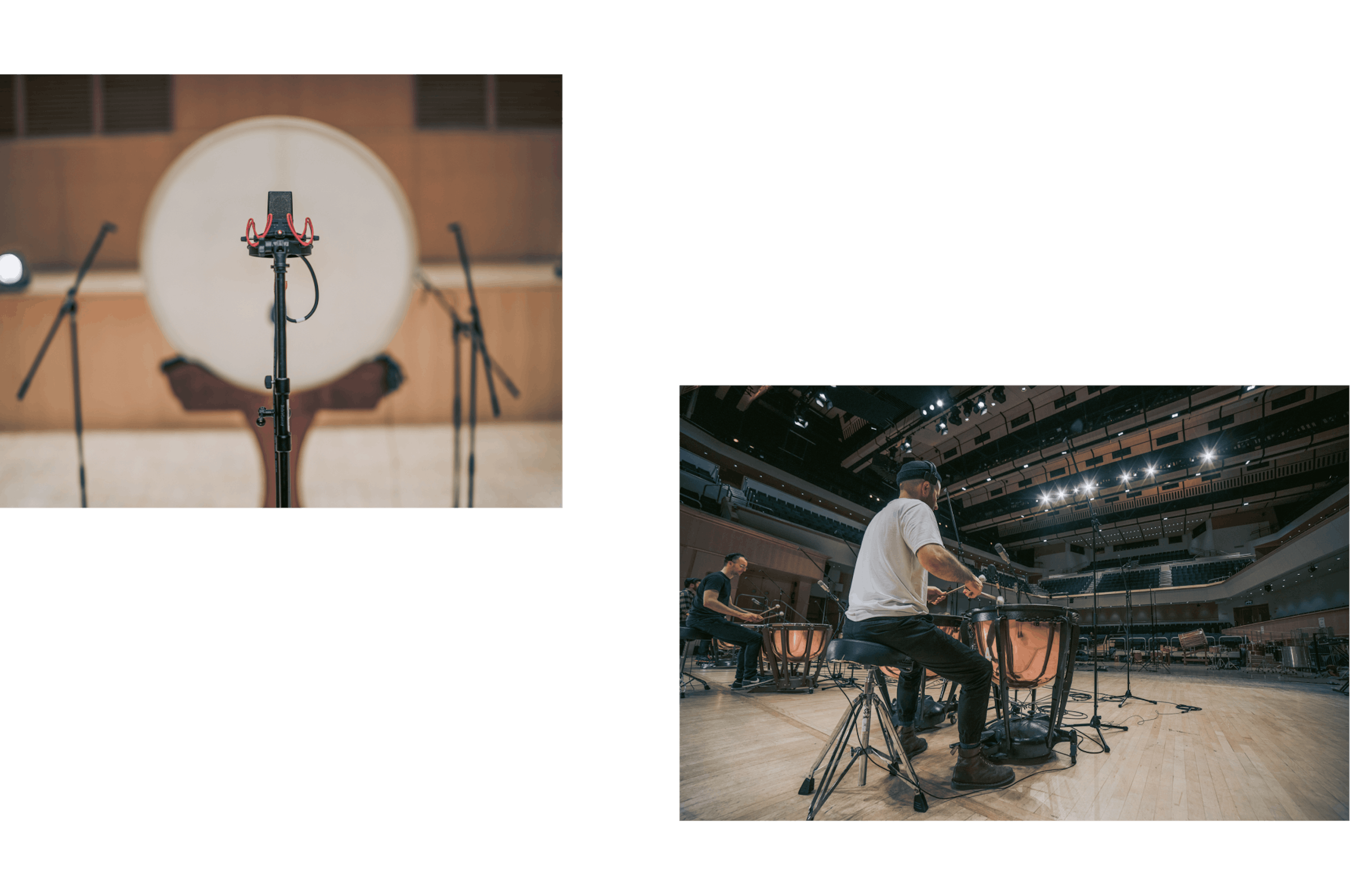 Colossus Percussion and microphones