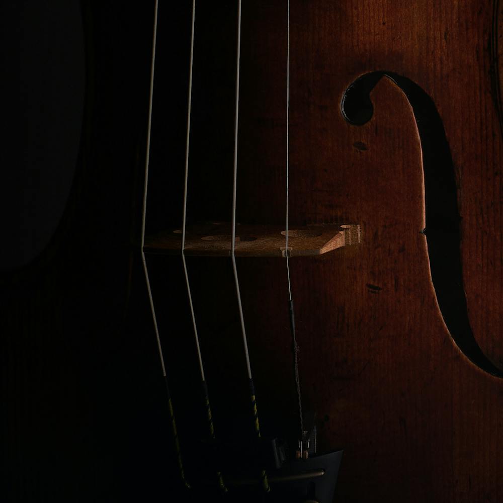 A dark moody image of a cello bridge up close