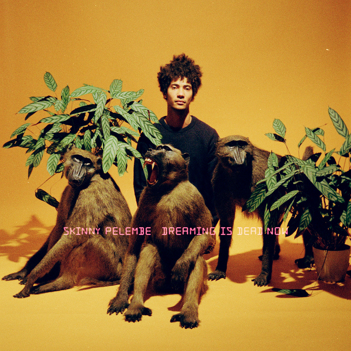 Skinny Pelembe Dreaming Is Dead Now