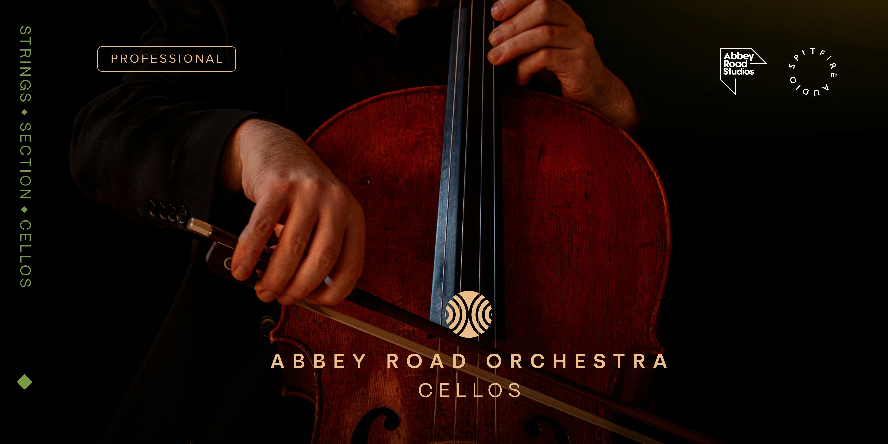 string instruments cello