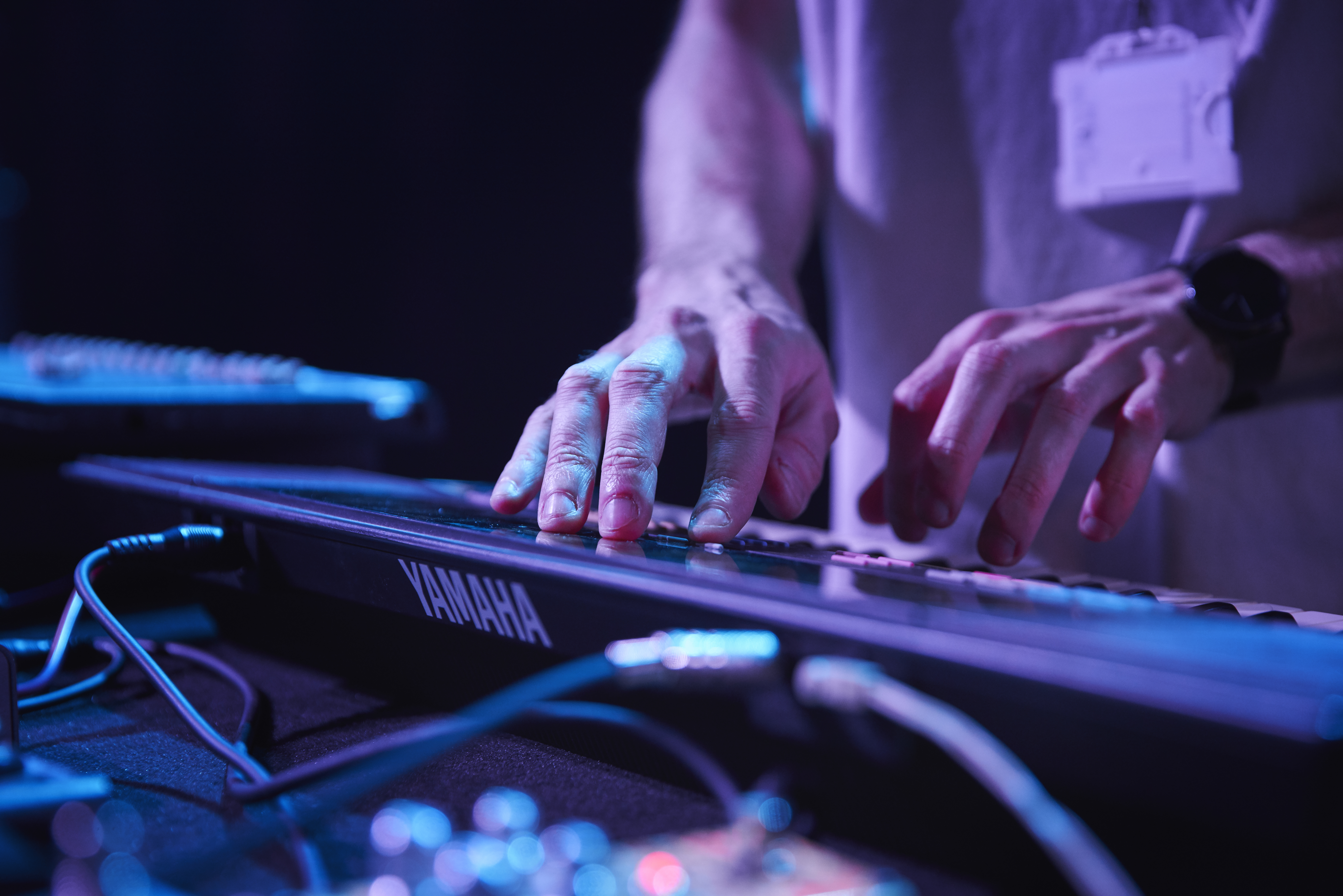 Cm Plimmer Hayes 0050