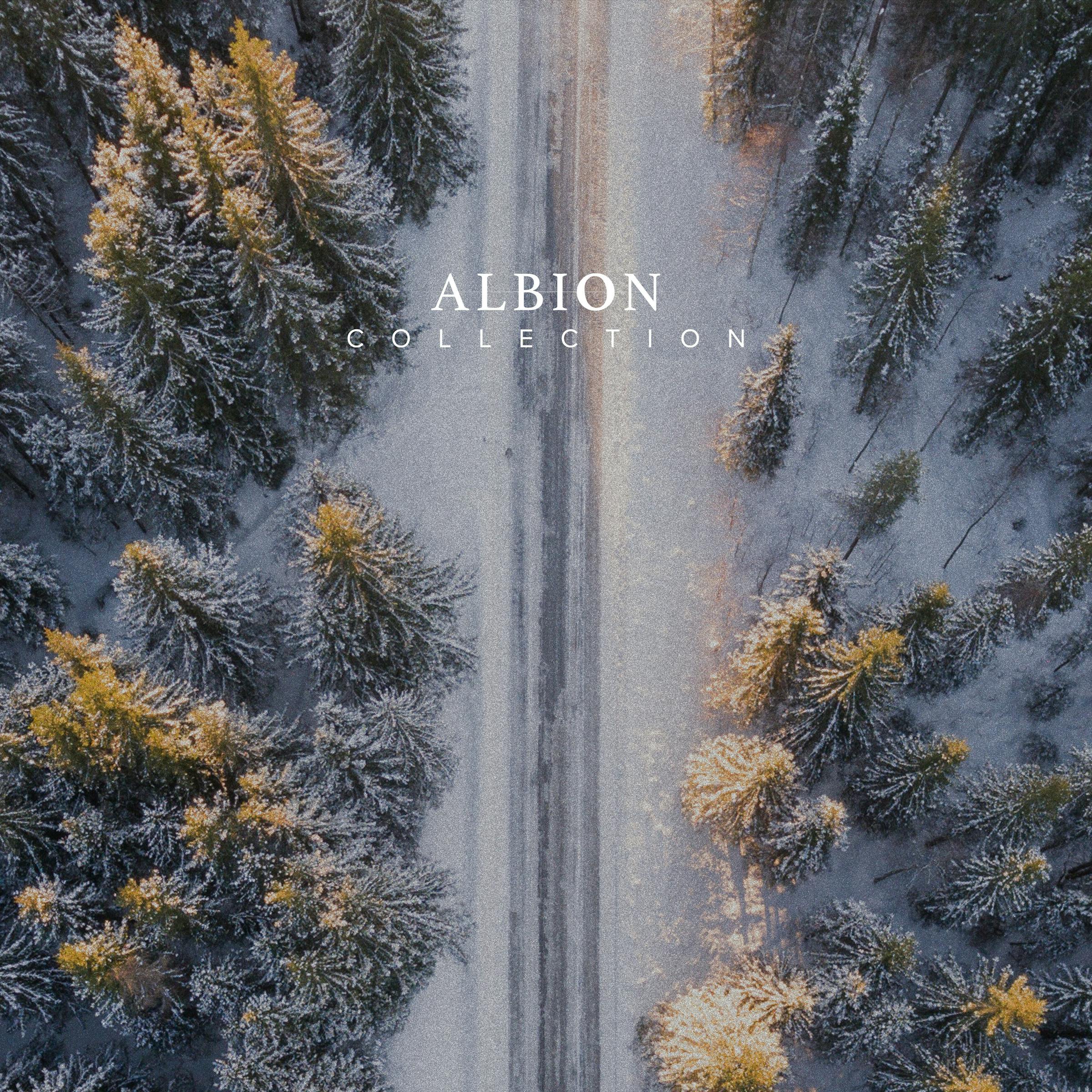 Albions product artwork