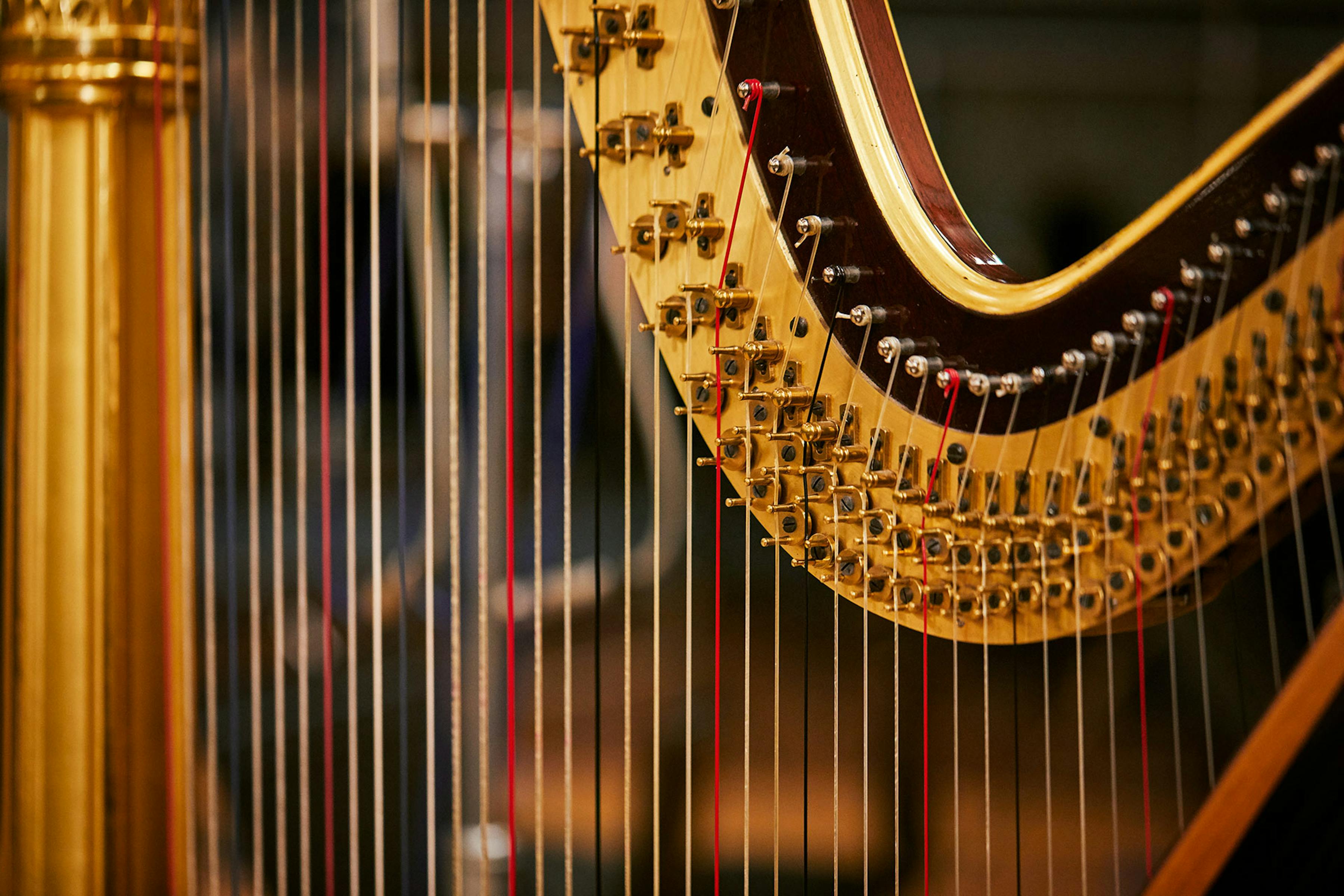 Close up of the harp