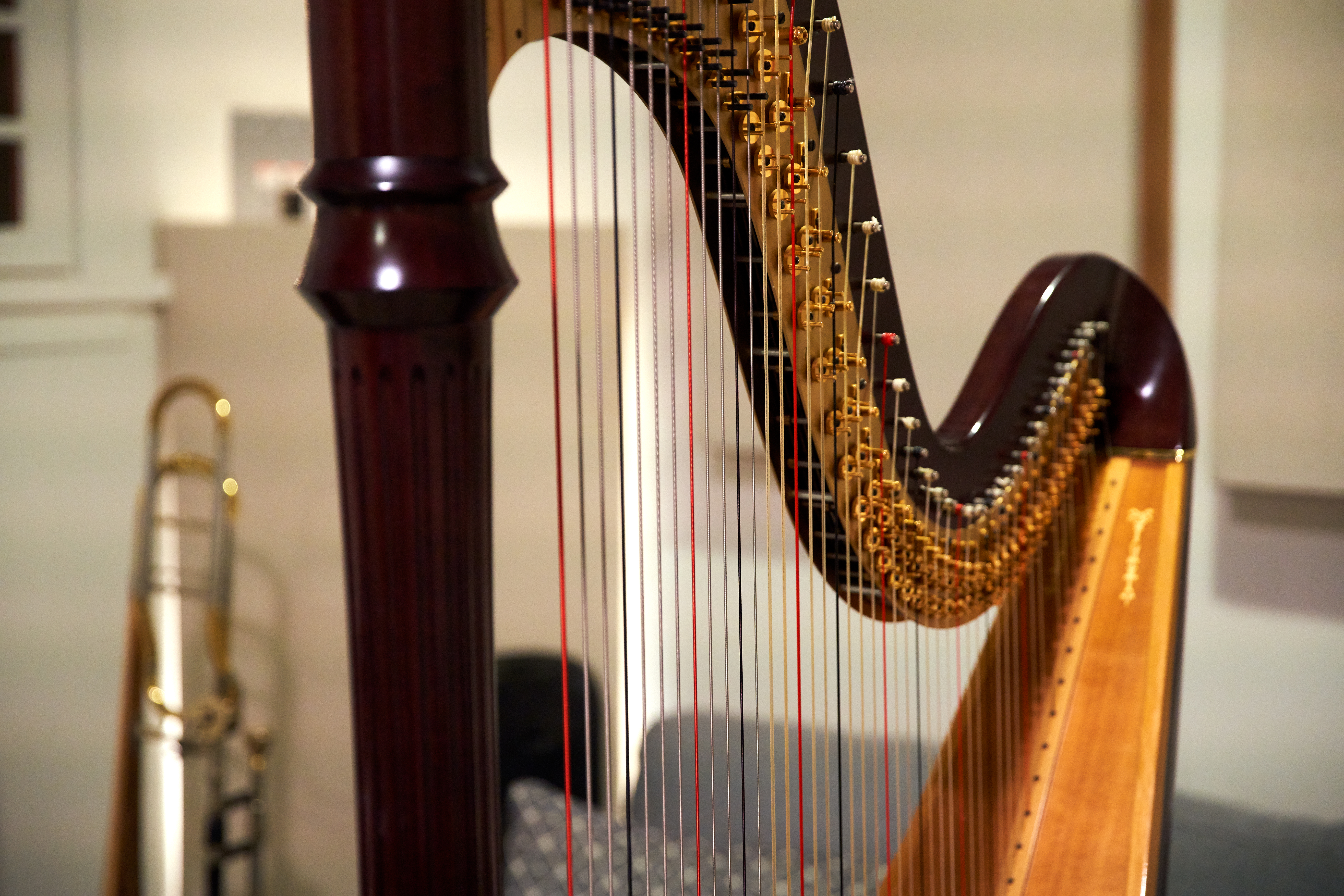 Cm Lara Somogyi Lkp 717