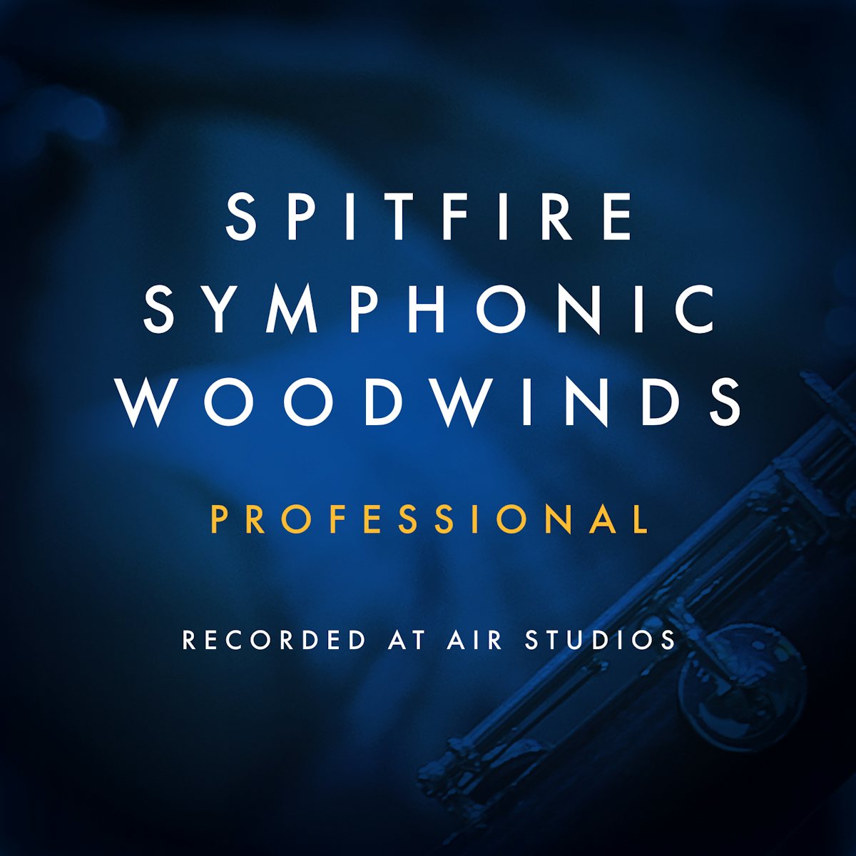 Symphonic Woodwinds Professional artwork