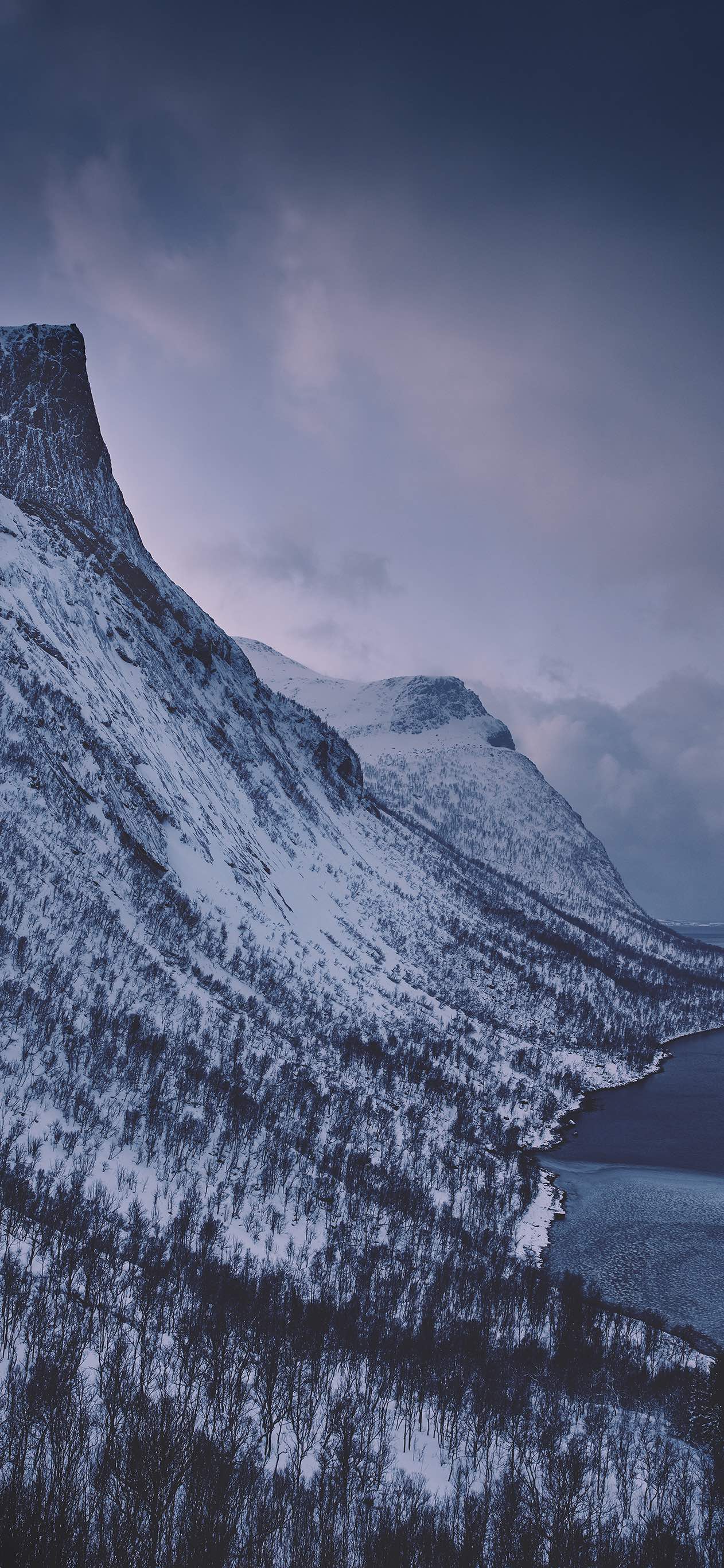 Albion Neo phone wallpaper